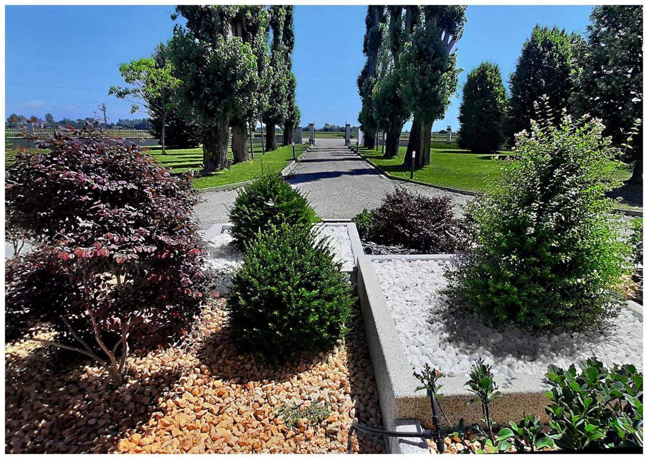 Agricolae * Marina (Portogruaro)